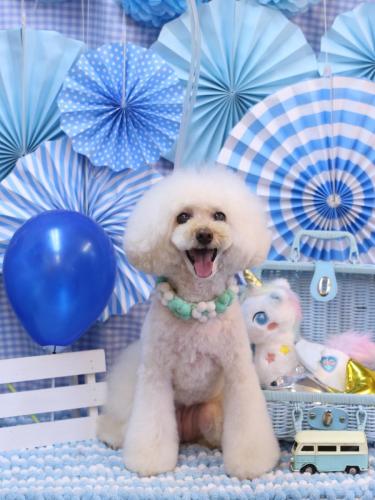 20231121ピッピちゃん